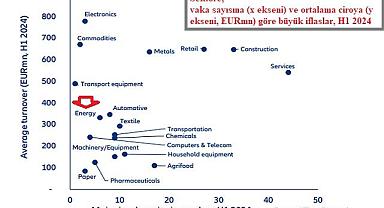 Allianz Trade Küresel İflas Raporu 2024 yayınladı - ENERJİ krizi sırasında...