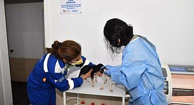 Osmangazi Elektrik Dağıtım - Can Dostlar için STK ve yerel yönetimlerle iş birliği yaptı!