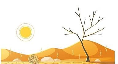 Kuraklık nedir? Kuraklık çeşitleri