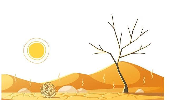 Kuraklık nedir? Kuraklık çeşitleri