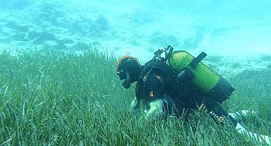 Mavi Nefes Projesi - 250 tona yakın atık toplandı!