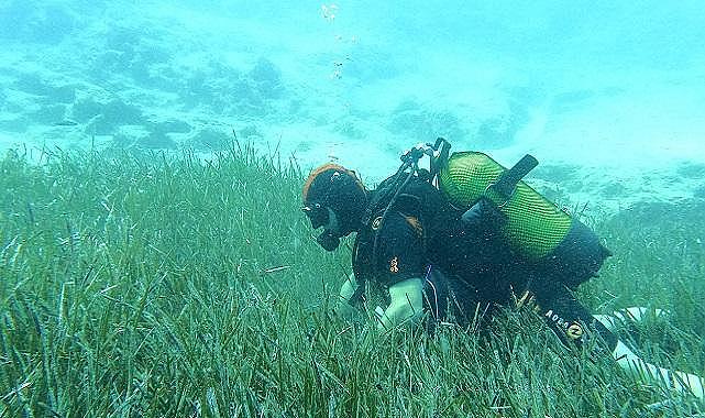 Mavi Nefes Projesi - 250 tona yakın atık toplandı!