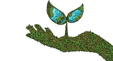 TSKB Raporu - 'Karbondan Krediye ...''