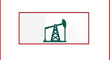 Türkiye günlük petrol üretimi ve tüketimi