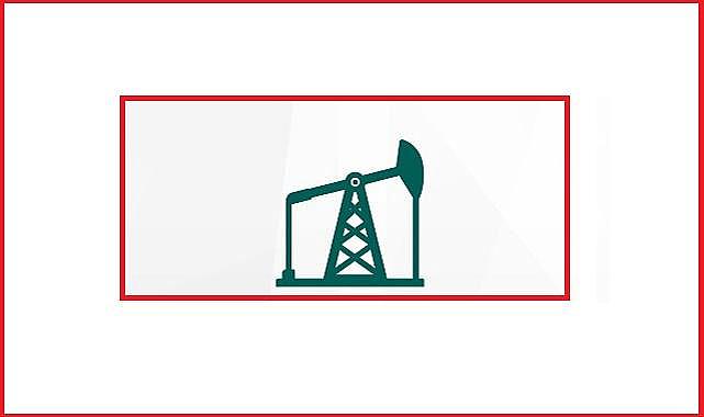 Türkiye günlük petrol üretimi ve tüketimi