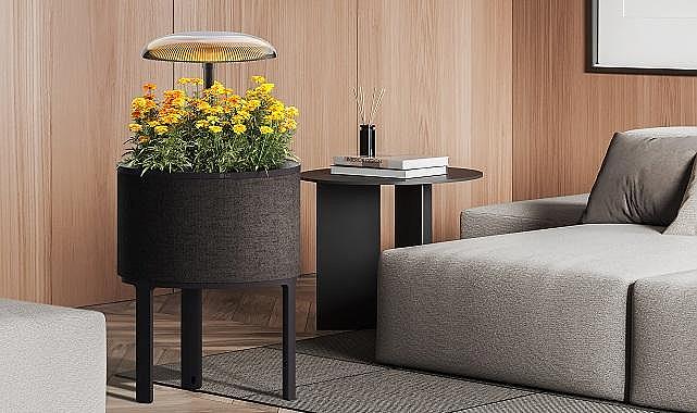 Aydınlatma ve Gelişmiş Kullanılabilirlik Özelliklerine Sahip LG Ev…