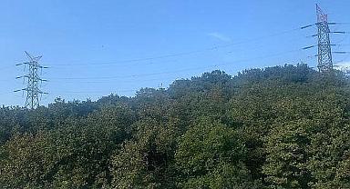 Elektrik alımı ihale duyurusu yaptı - Tarım İşletmeleri