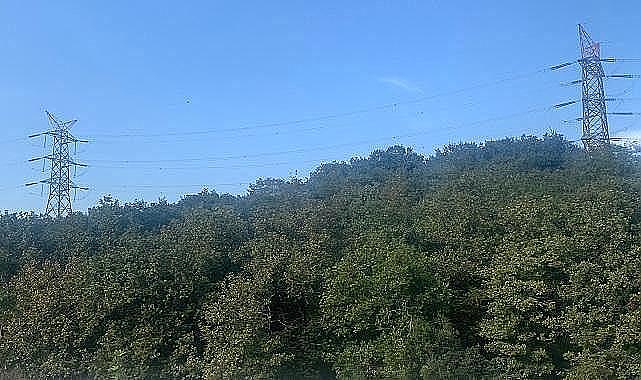 Elektrik alımı ihale duyurusu yaptı - Tarım İşletmeleri