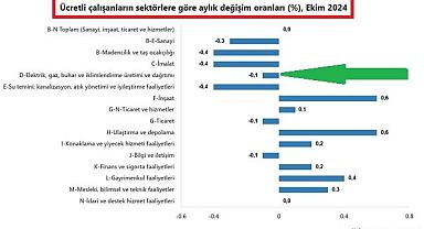 Elektrik - Gaz sektörleri de var ''Türkiye'de kaç ücretli çalışan var?