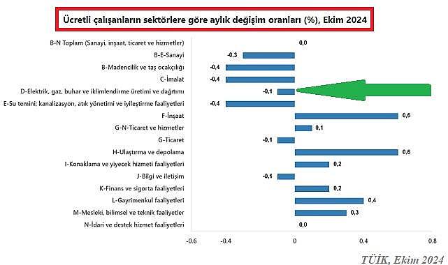 Elektrik - Gaz sektörleri de var &#039;&#039;Türkiye&#039;de kaç ücretli çalışan var?
