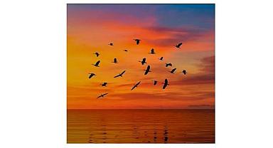 'YEŞİL aklama' yatırımcı güvenini zedeleyen önemli bir tehdit ''Ernst & Young Kurumsal Yatırımcı Araştırması''