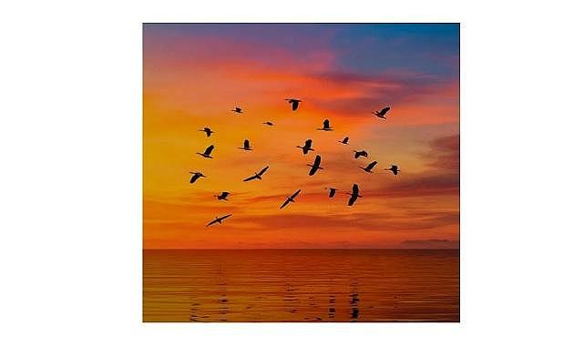 &#039;YEŞİL aklama&#039; yatırımcı güvenini zedeleyen önemli bir tehdit &#039;&#039;Ernst &amp; Young Kurumsal Yatırımcı Araştırması&#039;&#039;