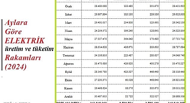 2024 yılı aylara göre Türkiye ELEKTRİK üretim ve tüketim rakamları