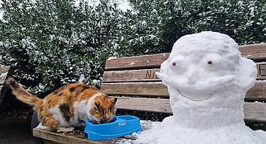 Uludağ Elektrik - ''Yaz Kış Demeden Sokak Hayvanlarına...''