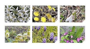 21 Mart Nevruz Bahar Bayramı 'Nevruz nedir?'