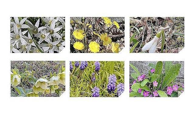 21 Mart Nevruz Bahar Bayramı &#039;Nevruz nedir?&#039;