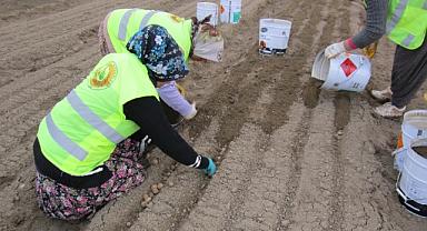 OGM'den girişimci orman köylüsü KADINLARA 64 milyon TL destek!