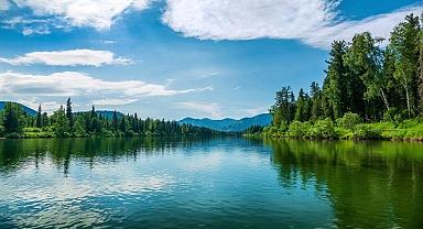 TEMA Vakfı ''Ormanları ve su varlıkları ...''