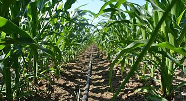 Türkiye'de Tarımda KARBON Ayak İzini Azaltacak ve Çiftçilere Ek Gelir Sağlayacak İş Birliği!