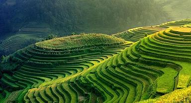 Türkiye’de Yeşil HİDROJEN kullanım alanları “çimento, demir-çelik, seramik, gübre …”