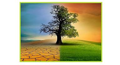 A'Dan Z'ye İklim Kanunu