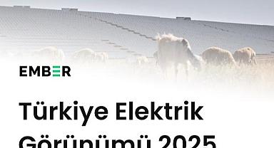 Güneş ve rüzgar 'yerli kömür enerjisini kalıcı olarak geçti'