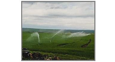 İlginç kaçak elektrik kullanımı ...