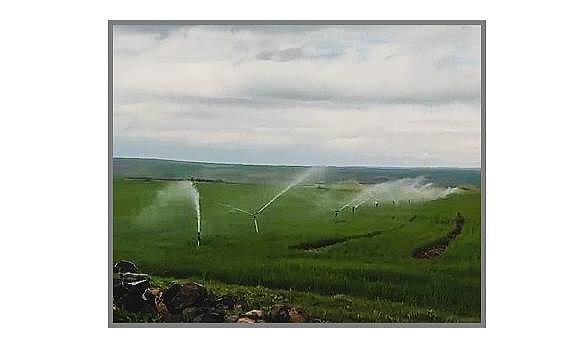 İlginç kaçak elektrik kullanımı ...