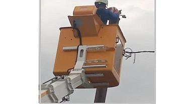 SEDAŞ ekipleri direkte mahsur kalan kediyi kurtardı