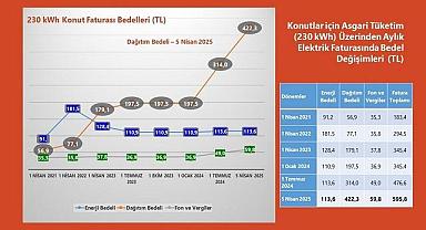 Yeni fiyatlarla 4 kişilik bir ailenin elektrik FATURASI ...