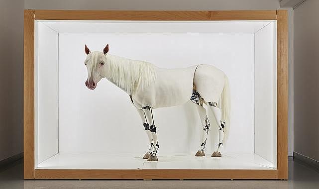 Beygir Gücü sergisi - Rahmi Koç Müzesi …