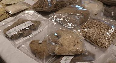 Kenevir üretimi YEŞİL dönüşümde Türkiye için stratejik bir fırsat sunuyor!