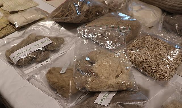 Kenevir üretimi YEŞİL dönüşümde Türkiye için stratejik bir fırsat sunuyor!