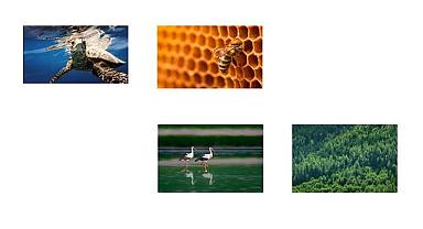 TEMA Vakfı ''Sulak alan türleri yüzde 60 oranında azaldı''