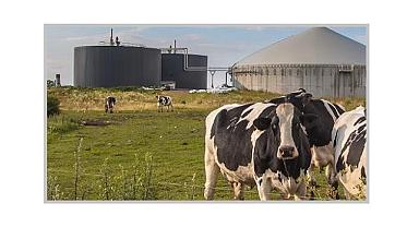 ''Biyogaz ve Biyometan Görünümü Raporu - IEA ''Biyogaza ilgi yeniden artıyor''