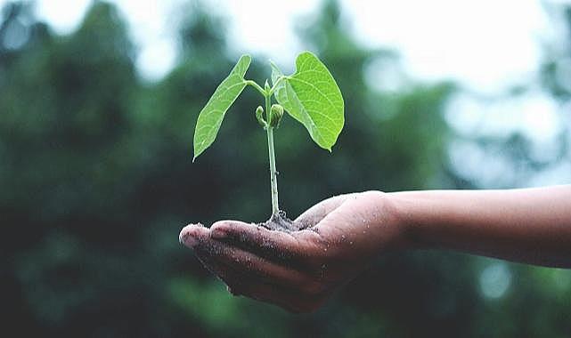 Gelecek İçin Temiz Enerji, Doğa İçin Saygı