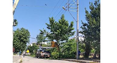 SEDAŞ - Kocaeli’de Kesintisiz Enerji İçin Ağaç Budama...