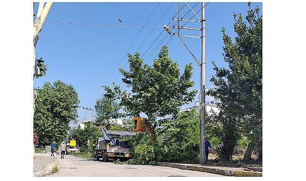 SEDAŞ - Kocaeli’de Kesintisiz Enerji İçin Ağaç Budama...