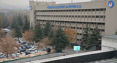 TEDAŞ "2024 Yılı Türkiye Elektrik Dağıtım Sektörü Raporu Yayımlandı"