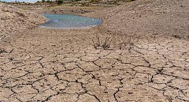 TEMA Vakfı “Toprağı İyileştirmek, Doğayı ve Geleceği Korumaktır”