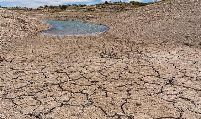 TEMA Vakfı “Toprağı İyileştirmek, Doğayı ve Geleceği Korumaktır”