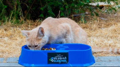 Uludağ Elektrik “Sevgimiz, Enerjimiz Sizinle” projesi