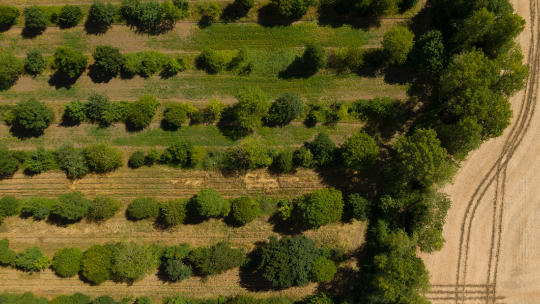 WWF-Türkiye “Limit Aşım Günü”