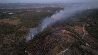 Orman yangını 'Yanan orman alanlarına ne yapılıyor?