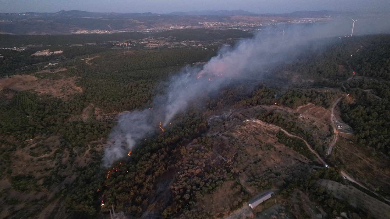 Orman yangını &#039;Yanan orman alanlarına ne yapılıyor?