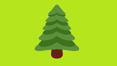 Fidan dikimi kampanyası