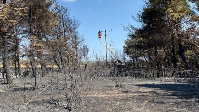 UEDAŞ 'Çanakkale yangınlarında elektrik hatları  ...'