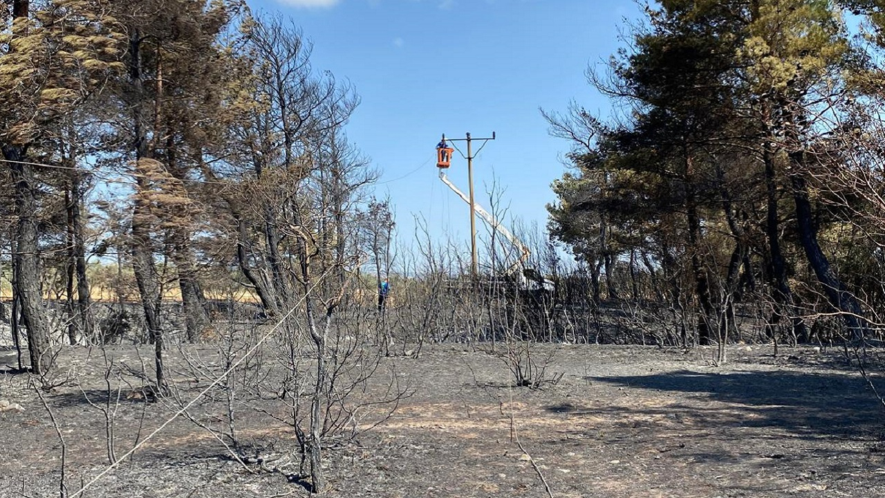 UEDAŞ &#039;Çanakkale yangınlarında elektrik hatları  ...&#039;
