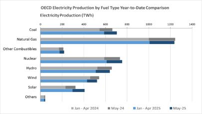 OECD 'fosil yakıtlardan elektrik üretimi yüzde 4,8 azaldı'
