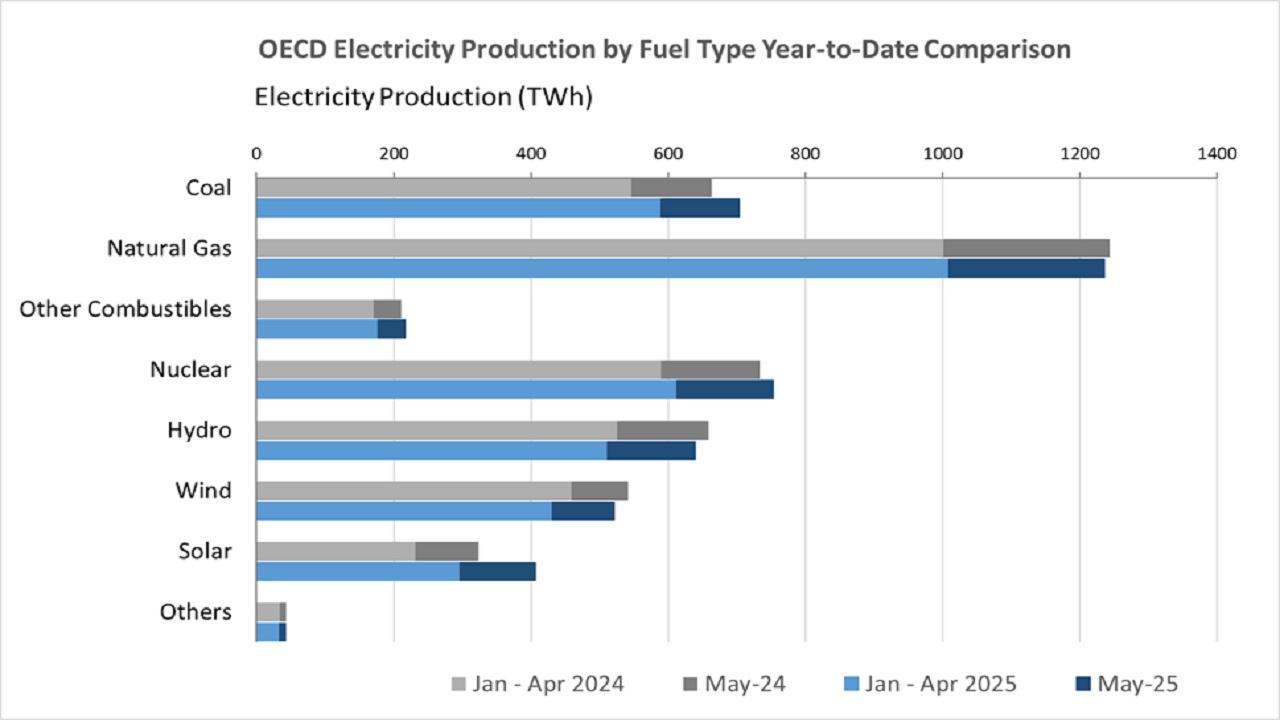 OECD &#039;fosil yakıtlardan elektrik üretimi yüzde 4,8 azaldı&#039;